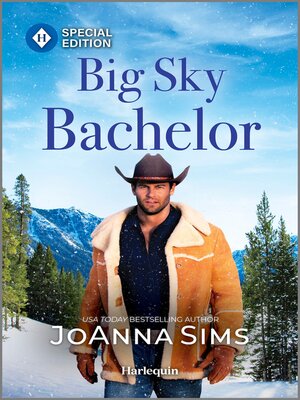 cover image of Big Sky Bachelor